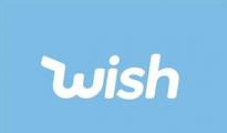 【干货】批量查询wish邮的方法