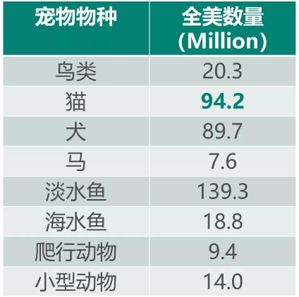 2018年不妨从这些宠物用品爆品下手，发笔萌萌哒喵咪财